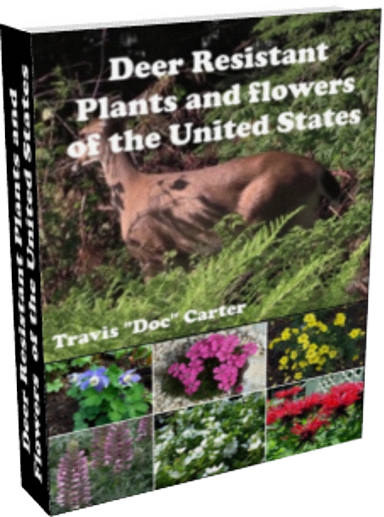 Deer Resistant Plants and Flowers of the United States